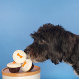 Box of six dog-friendly pupcakes with yogurt frosting, shipped frozen with separate decorative bone toppers.